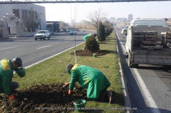 Գարնանը մայրաքաղաքում բացվող առաջին ծաղիկները վարդակակաչները կլինեն