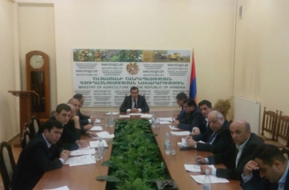 Գյուղնախարարությունում քննարկվել են Արարատի մարզից ստացված ներդրումային ծրագրերը