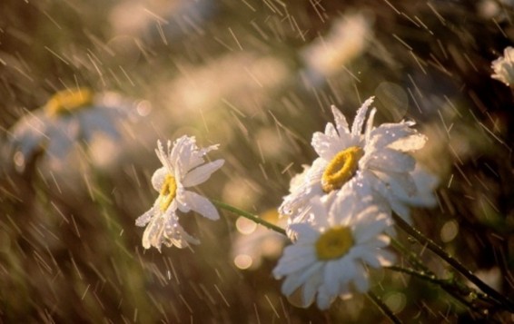 Եղանակը Հայաստանում