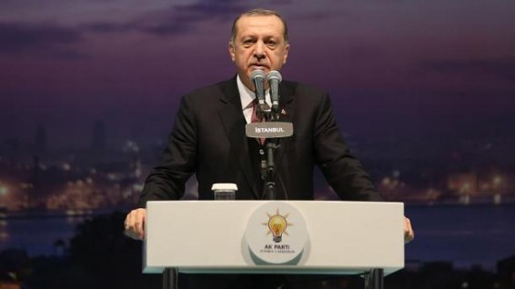Президент Эрдоган выразил поддержку Катару
