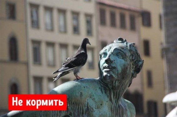 7 արտասովոր բան, որ օրենքով արգելվում է տարբեր երկրներում