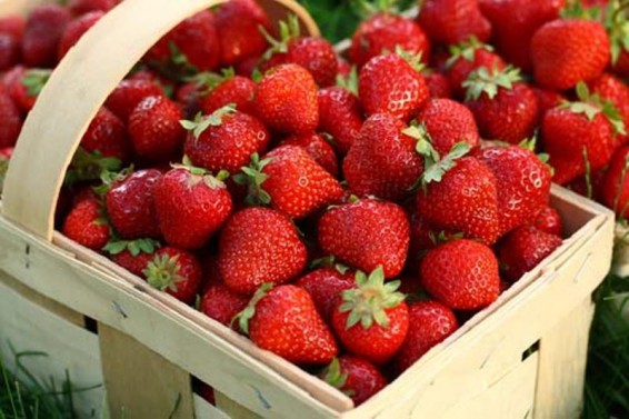 Ելակը օգտակար է սրտին